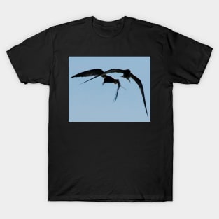 Gulls at Play T-Shirt